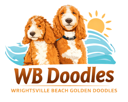 WB Golden Doodles